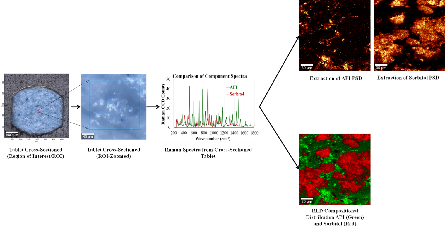 Case Study Confocal Raman Imaging Cri A Z R